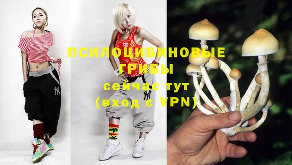 прущая мука Нягань
