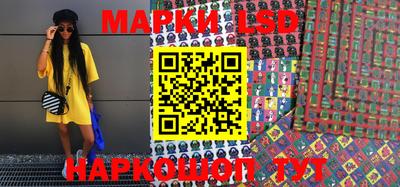 стаф Берёзовский