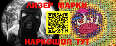 стаф Берёзовский