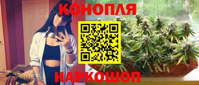 стаф Берёзовский