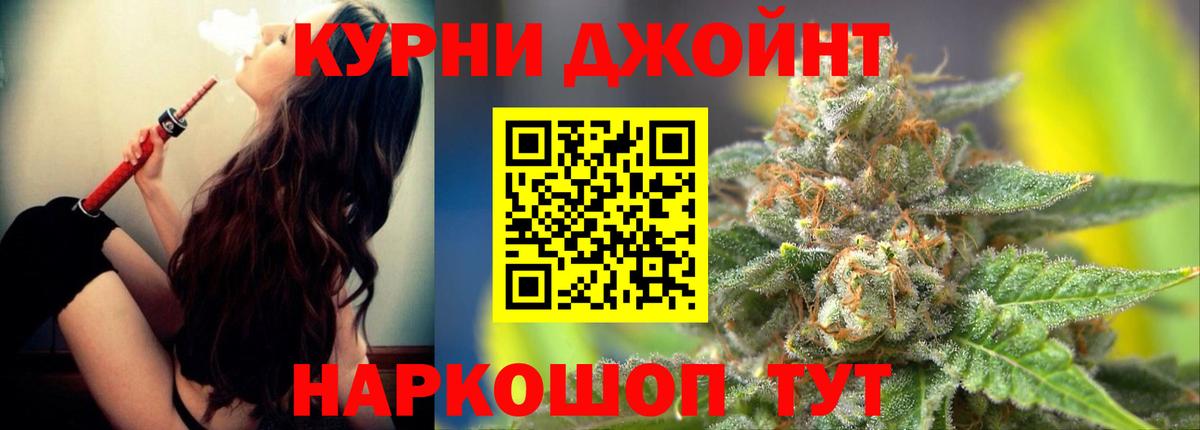 Конопля планчик  Конопля сатива  Вход с VPN  Сафоново 